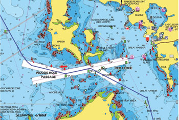 Navionics Dock to Dock navigation